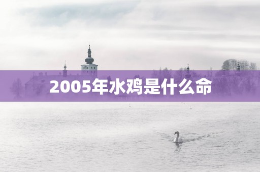 2005年水鸡是什么命