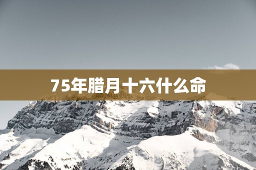 75年腊月十六什么命