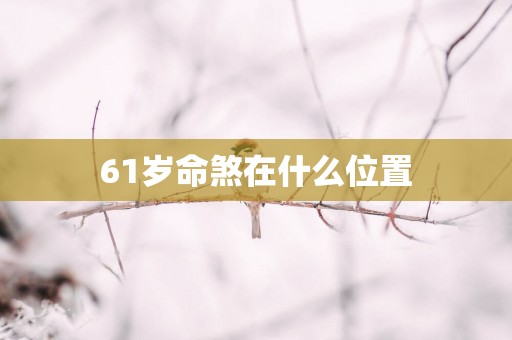 61岁命煞在什么位置
