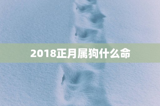 2018正月属狗什么命