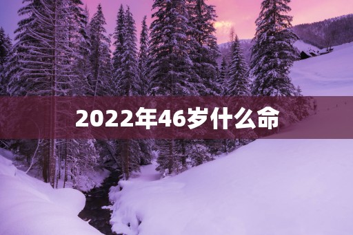 2025年46岁什么命