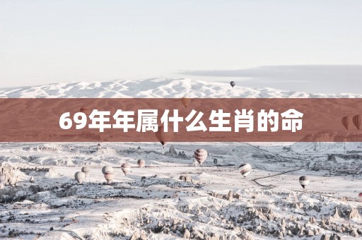 69年年属什么生肖的命