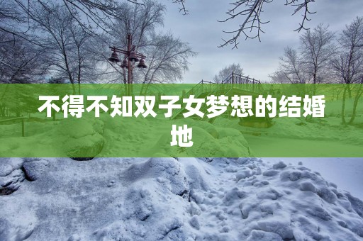 不得不知双子女梦想的结婚地