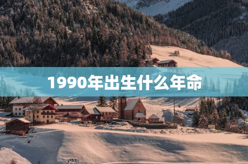 1990年出生什么年命