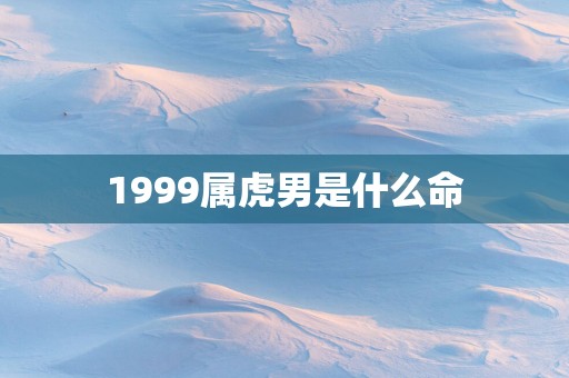 1999属虎男是什么命