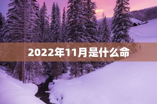 2025年11月是什么命