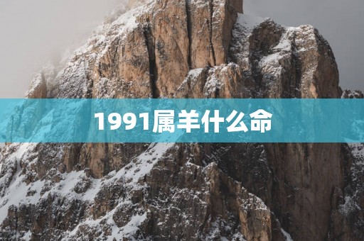 1991属羊什么命