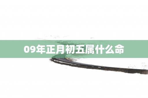 09年正月初五属什么命