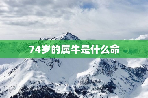 74岁的属牛是什么命