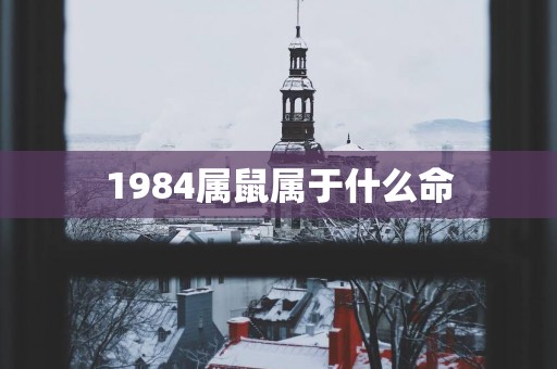 1984属鼠属于什么命