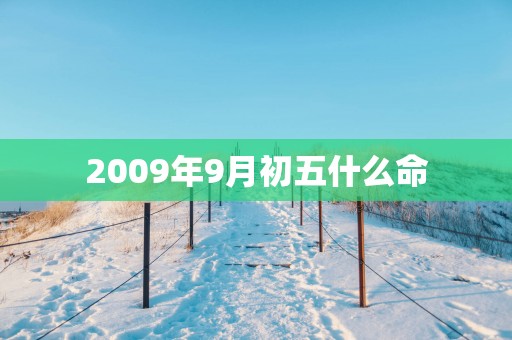 2009年9月初五什么命