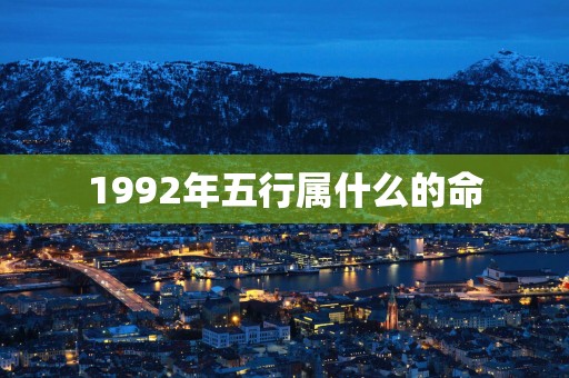 1992年五行属什么的命