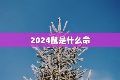 2025鼠是什么命