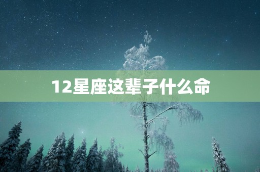 12星座这辈子什么命