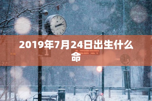 2019年7月24日出生什么命