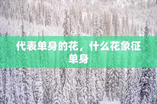 代表单身的花，什么花象征单身