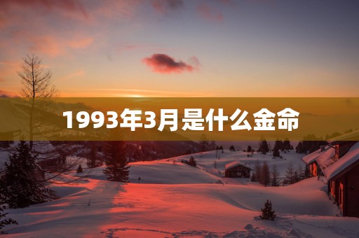 1993年3月是什么金命