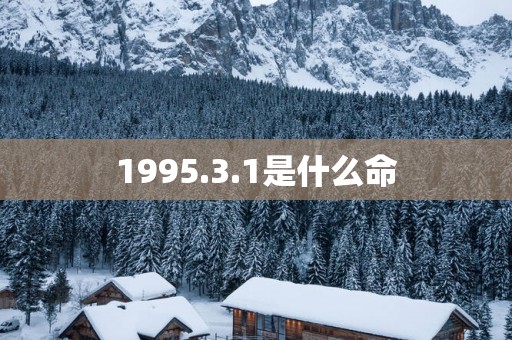 1995.3.1是什么命