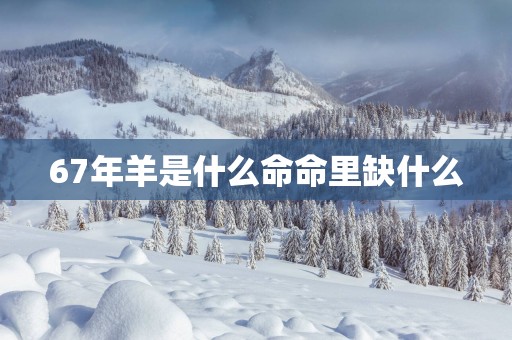 67年羊是什么命命里缺什么