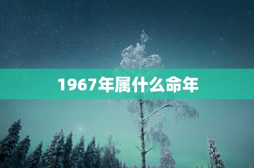 1967年属什么命年