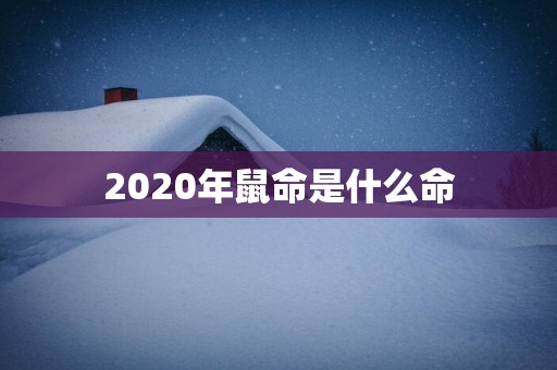 2025年鼠命是什么命