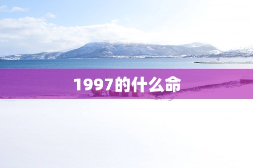 1997的什么命