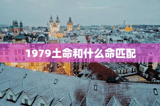 1979土命和什么命匹配