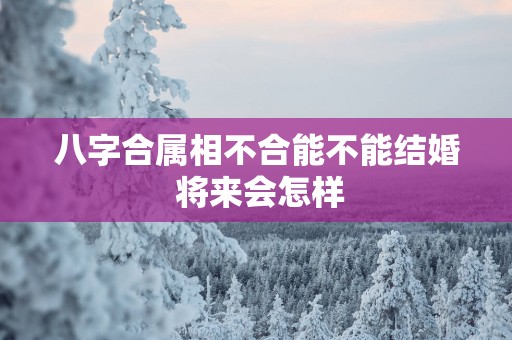 八字合属相不合能不能结婚 将来会怎样