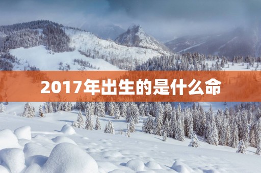 2017年出生的是什么命