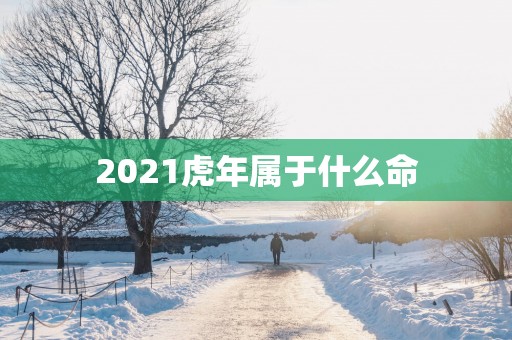 2025蛇年属于什么命