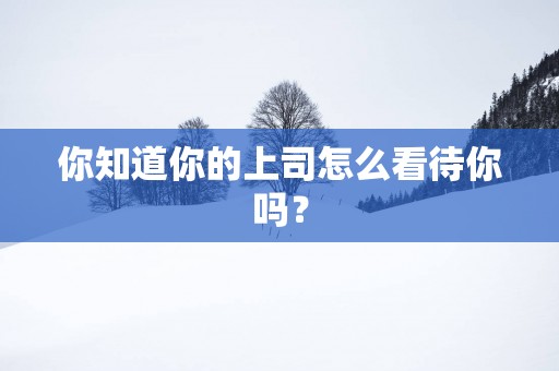 你知道你的上司怎么看待你吗？