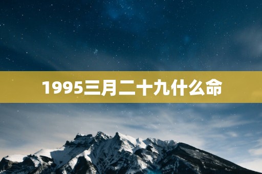 1995三月二十九什么命