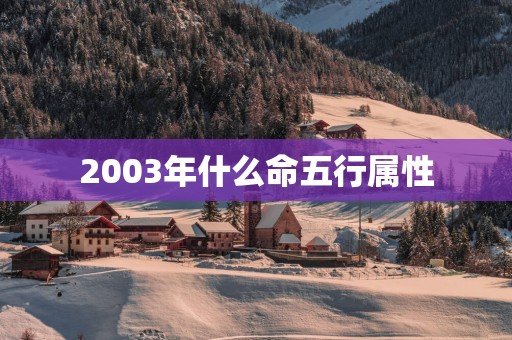 2003年什么命五行属性