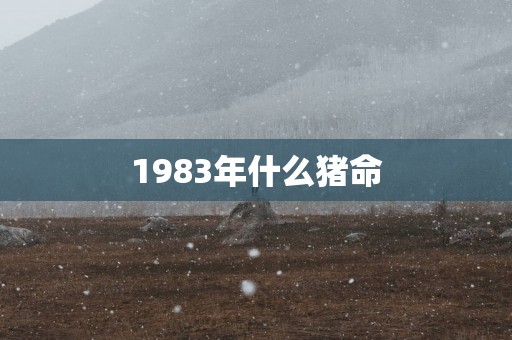 1983年什么猪命