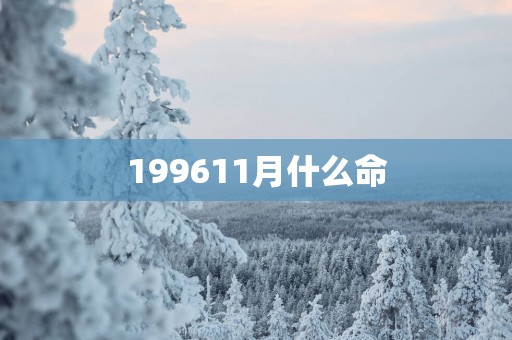 199611月什么命
