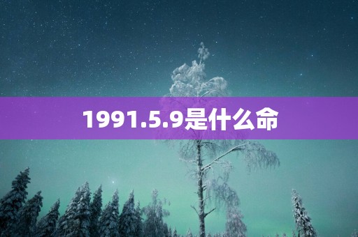 1991.5.9是什么命