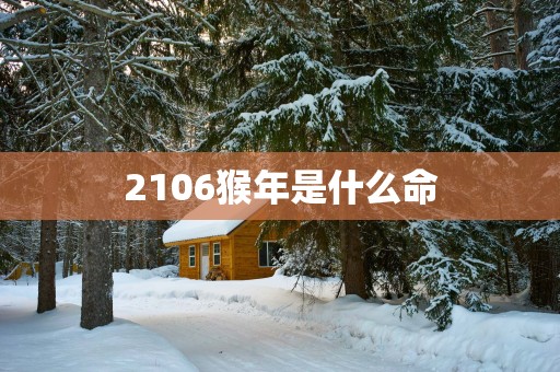 2106猴年是什么命