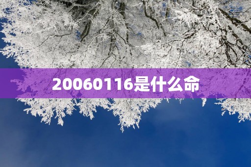 20060116是什么命