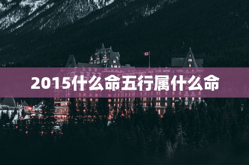 2015什么命五行属什么命