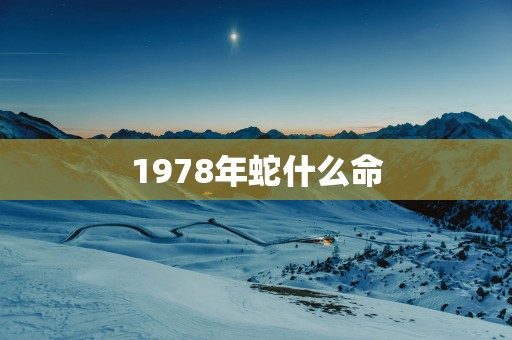 1978年蛇什么命