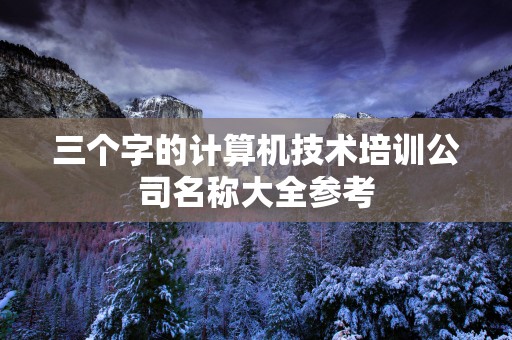 三个字的计算机技术培训公司名称大全参考