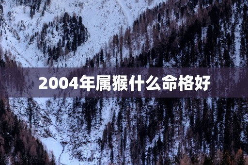 2004年属猴什么命格好
