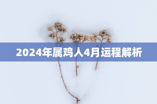 2025年属鸡人4月运程解析