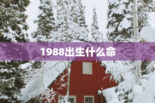1988出生什么命