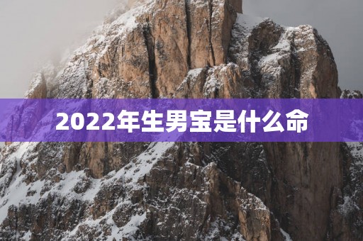 2025年生男宝是什么命