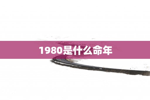 1980是什么命年