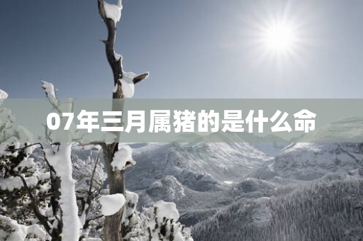 07年三月属猪的是什么命