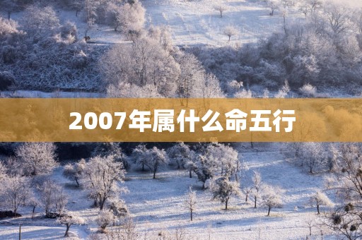2007年属什么命五行