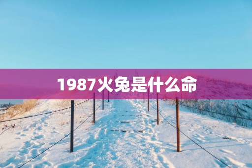 1987火兔是什么命