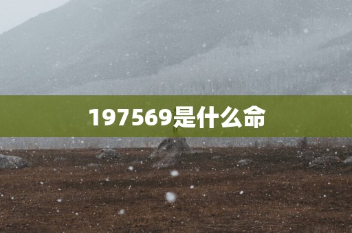 197569是什么命